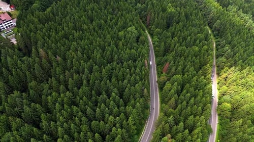 Scenic view of winding road through dense forest in mountain area.