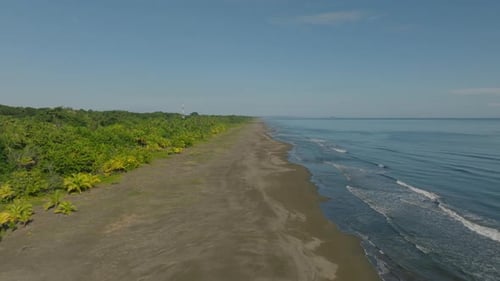 Forwards Fly Along Empty Beach on Caribbean Coast Lined By Tropical Green Vegetation