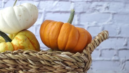 Festive Pumpkins in Woven Basket for Fall
