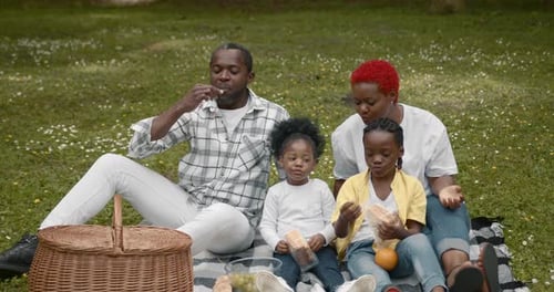 Family Picnic in the Park on Sunny Day