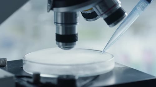 Close Up Adding a Sample to a Petri Dish under a Microscope