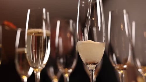 A bartender pours champagne. Close up