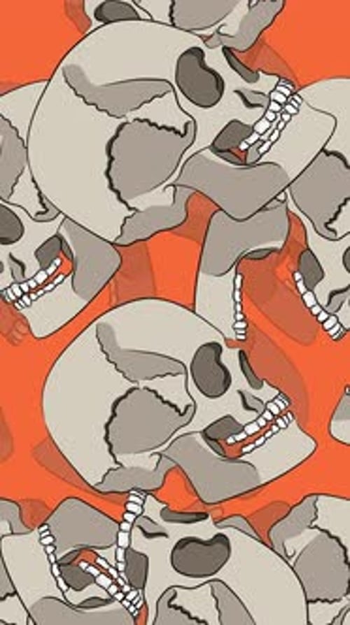 Illustrated 2D Skulls On Orange