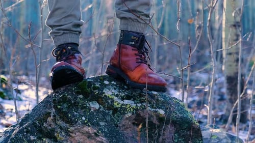 Mann geht im Wald spazieren