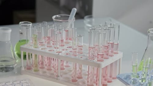 Close-up of Racks with Numerous Test Tubes in Laboratory