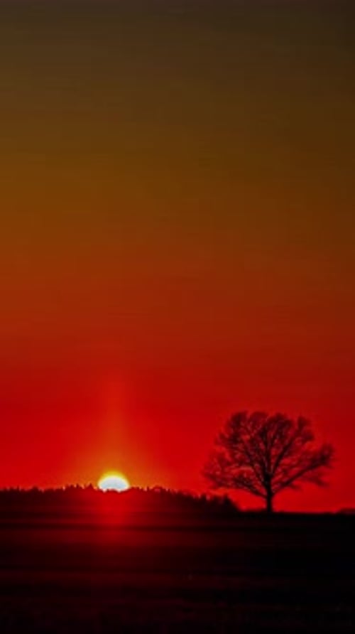 Timelapse Of Sun Going Down - Sunset In Rural Landscape - Vertical Shot