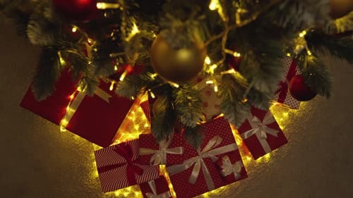 The Christmas Tree Has Shone in a New Outfit and the Gifts Under It are Already Waiting for Their