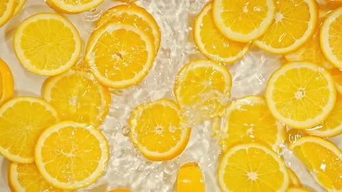 Cold Lemonade with Freshly Sliced Citrus Fruits on a Sunny Day