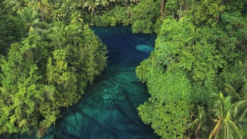Aerial view of lake surrounded by trees, Indonesia.