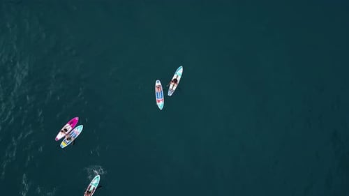 Paddleboarders on Dark Blue Water Seen From Above