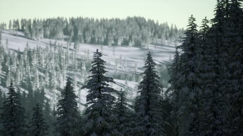 Wunderschöne Winterlandschaft in den Bergen