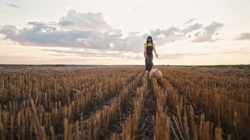 Sweet Golden Retriever Puppy Playing With Its Owner Woman Walking On Open Area Field Happy Dog