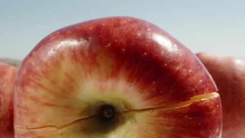 A big red apple, I divide it into two halves and the camera passes through it. Dolly slider extreme