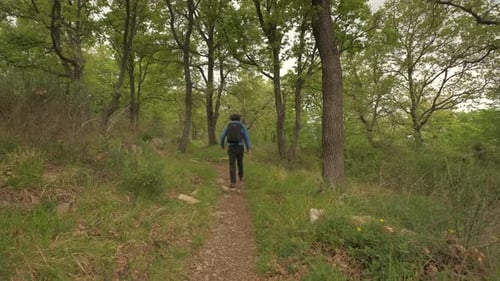 Backpacker man hiking walking in mountain forest, trekking adventure