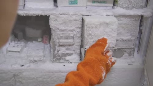 taking specimen boxes out of the freezer to be used. science being done.