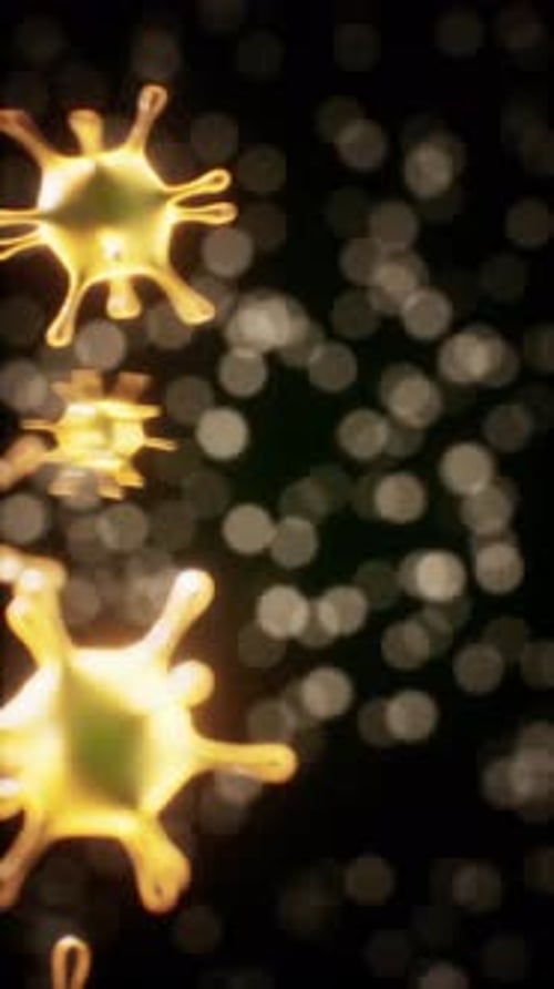 Vírus sob a visão microscópica da educação