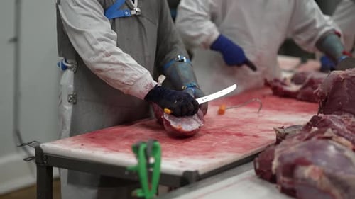 Beef filet being prepared by worker with a sharp knife at a meat processing plant
