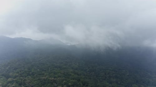 Misty Mountains Aerial View in Wilderness