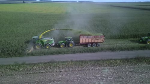 Corn Silage Harvesting with Forage Harvester on Field