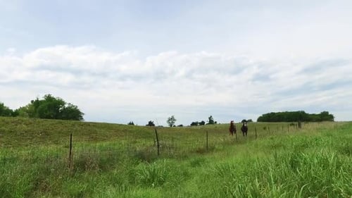 Two horses trot together along a wire fence in Kansas