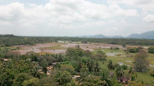 Sri Lanka Agriculture Fields Panorama (Zoom Out)
