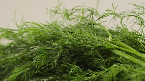 Cutting Dill Chef Cut Dill with Knife on a Wooden Board Close Up at Home Vitamin Vegan Greens