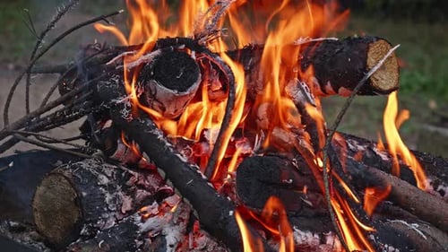 Burning Flame At Fire pit on wooden logs. Close up shot of a log burning in a campfire grill .