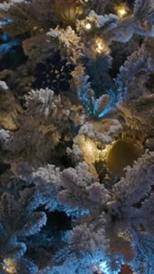 Decorated Christmas Tree and Wrapped Gifts Beneath