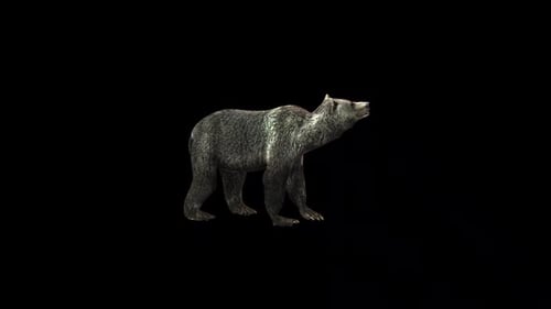 Animated 3D Brown Bear with Idle Stance Movement