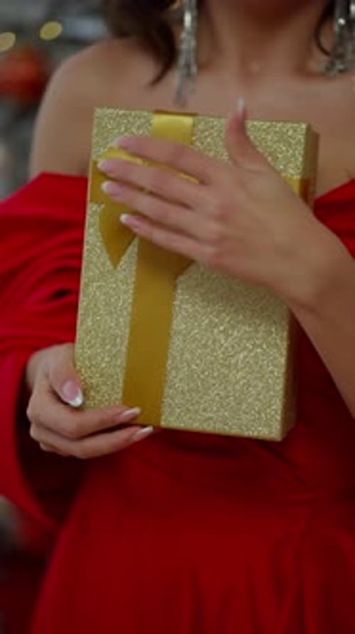 Elegant Woman Holds Christmas Gift