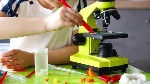 Close Up of Girl Hands Adjusting Microscope During Crystal Examination at Home Laboratory Table