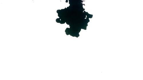 Fluid Black Ink Diffusion on White Background