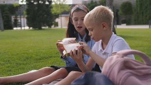 School Children Sitting in the Park on the Grass and Holding Large Sandwiches