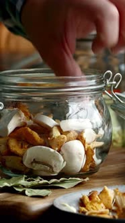 Vertical View Of Mushrooms