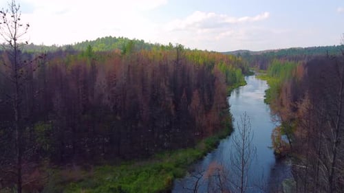 Moving shot over river running through dense green forest on a cloudy day.