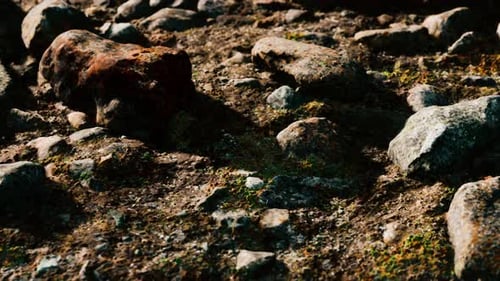 Close Up of Rocky Stones Formation