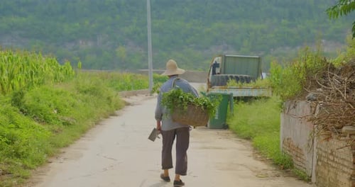 Rural Chinese farmer walks away from camera with tool and his harvest.