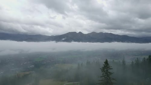 Drone View of the Foggy Forest in Mountains Flight Through the Clouds 10 Bit