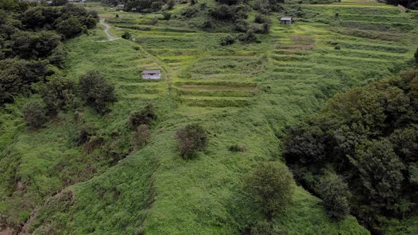 Rice Field in Japan, Aerial view, Nature Stock Footage ft. terraced ...