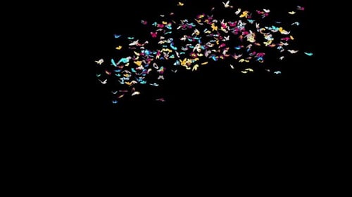 Colorful Butterflies Flying Seamless Loop Animation