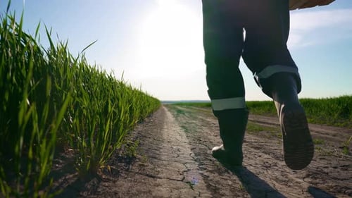 Closeup View of Legs of Farmer Walking on Ground in Farmland in Summer Day Back View of Male Feet in