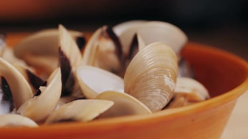 Moules marinara avec sauce à l'ail, citron et persil, repas espagnol et français classique, macro, gros plan