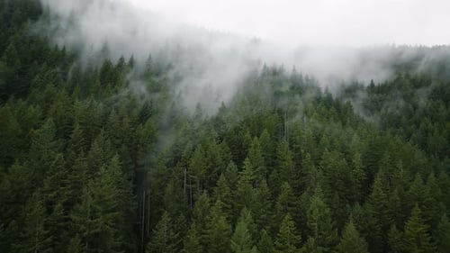 Aerial View of Beautiful Mountain Landscape Fog Rises Over the Mountain Slopes