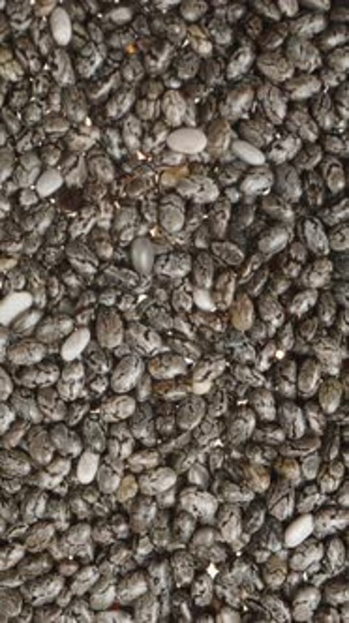 Vertical video. Chia seeds, top view, close-up. Slider shot.