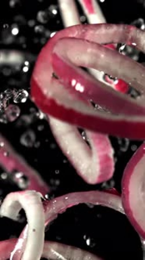 Sliced Red Onion Rings Fly Up and Fall Down Filmed on a Highspeed Camera at 1000 Fps