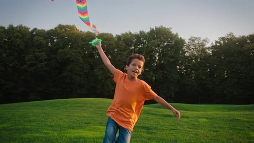 Joyful Boy Launching Rainbow Kite on Green Lawn
