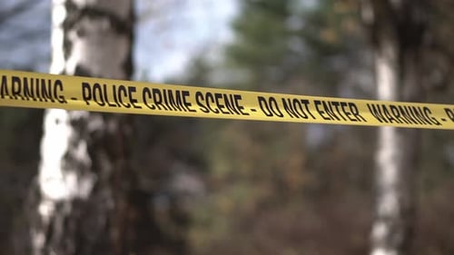 Police crime scene tape in wooded area