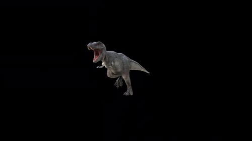 Tyrannosaurus Rex Run Loop