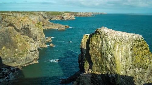 Wales Green Bridge Coast Pembrokeshire Nature