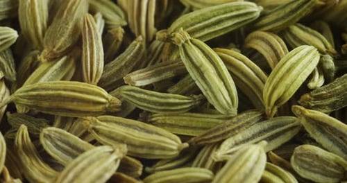 Macro shot of fennel seeds, Wellness concept, body care, digestion.